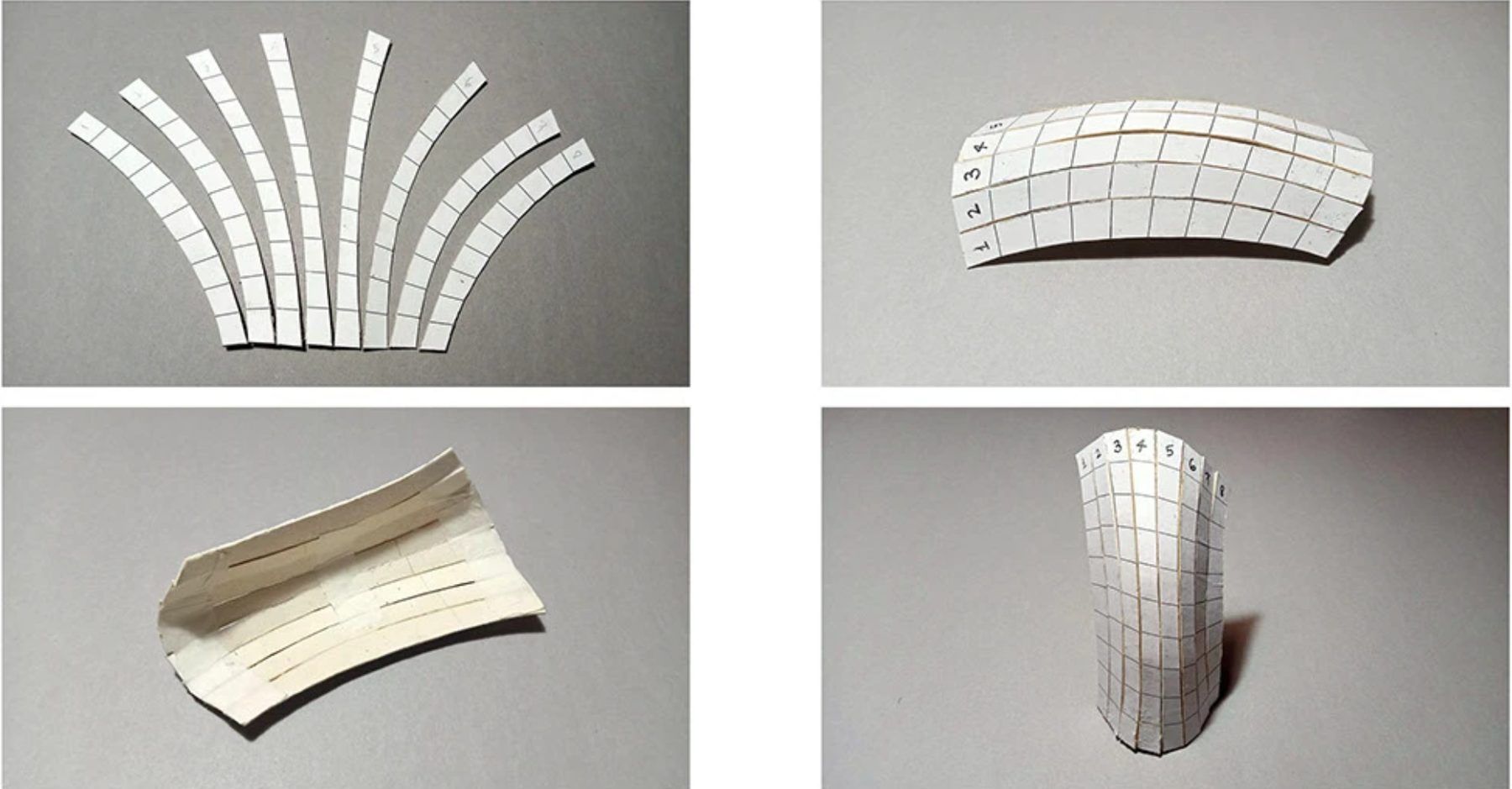 Numbered strips forming a shell