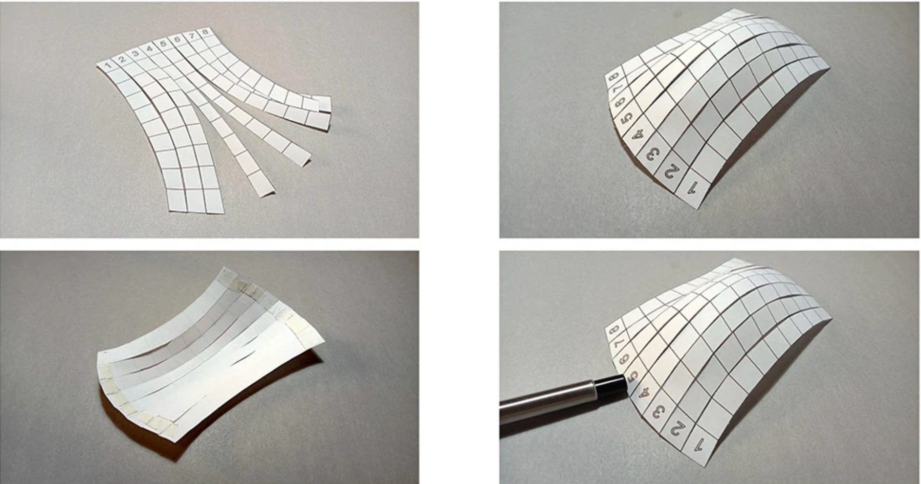 Grid strips forming a shell