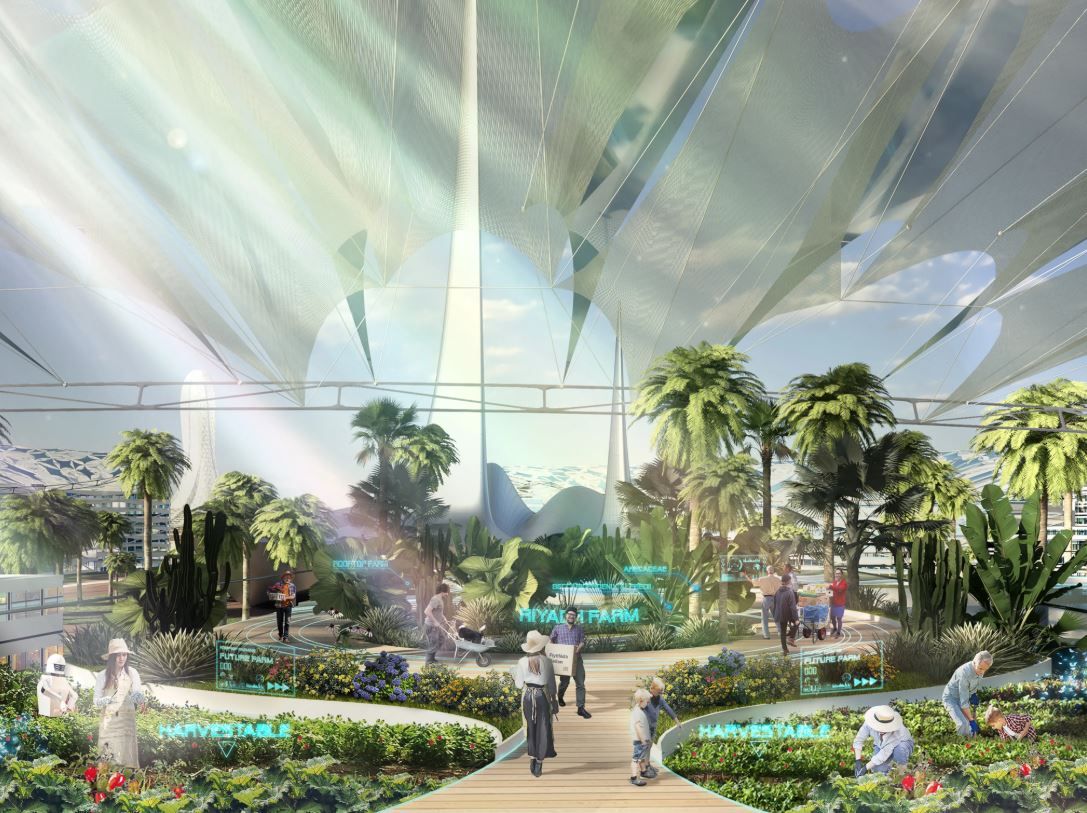 Concentric Ripple City — masterplan view 3