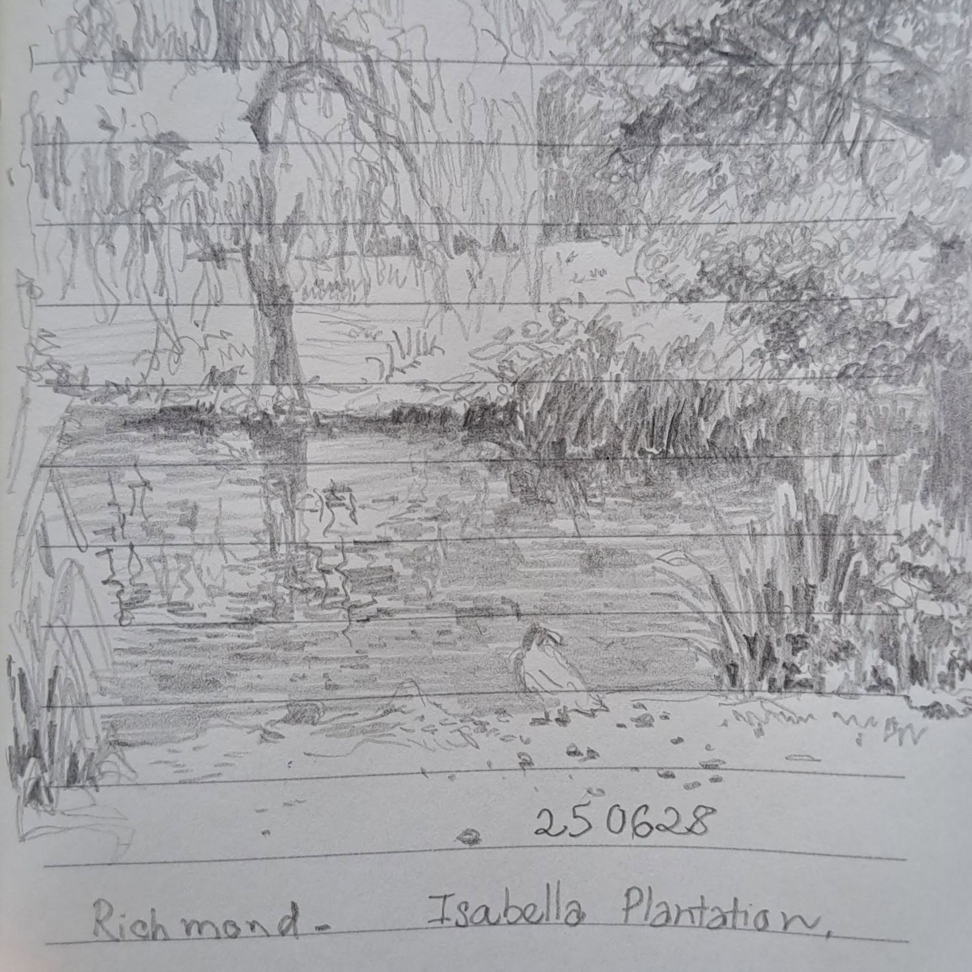 Isabella Plantation, Richmond